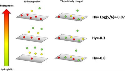 Direct quantification of hydrophobicity: a case study of environmentally relevant silver nanoparticles